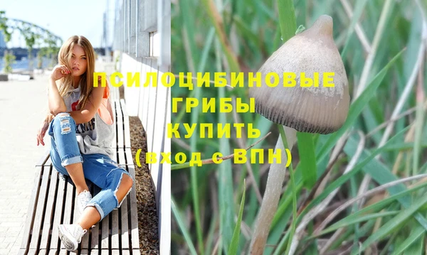 мет Арсеньев