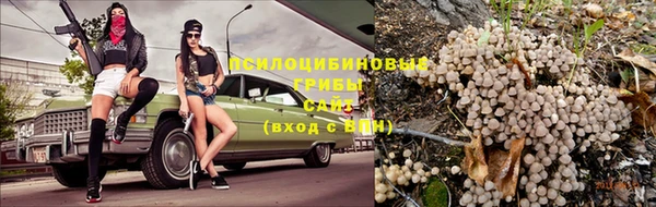 a pvp Армянск