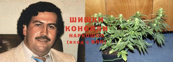 jwh Пересвет